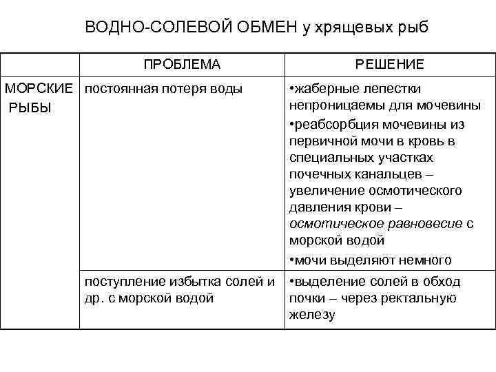 ВОДНО-СОЛЕВОЙ ОБМЕН у хрящевых рыб ПРОБЛЕМА МОРСКИЕ постоянная потеря воды РЫБЫ поступление избытка солей