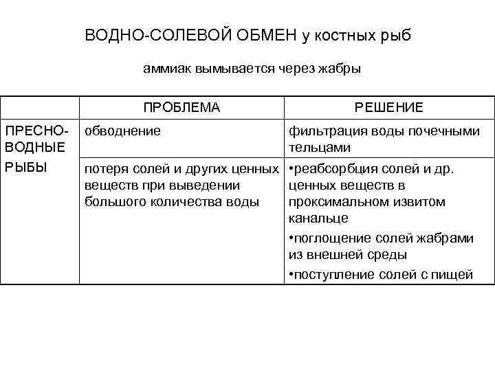 ВОДНО-СОЛЕВОЙ ОБМЕН у костных рыб аммиак вымывается через жабры ПРОБЛЕМА ПРЕСНОВОДНЫЕ РЫБЫ обводнение РЕШЕНИЕ