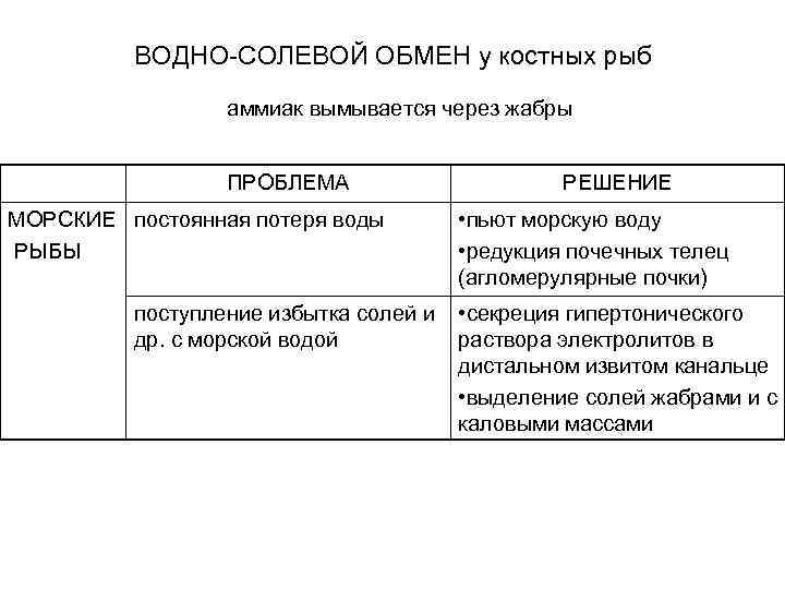 ВОДНО-СОЛЕВОЙ ОБМЕН у костных рыб аммиак вымывается через жабры ПРОБЛЕМА МОРСКИЕ постоянная потеря воды
