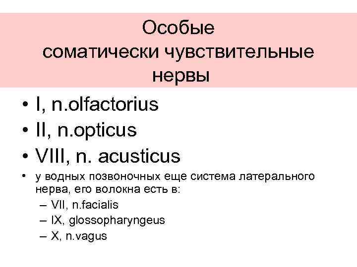Особые соматически чувствительные нервы • I, n. olfactorius • II, n. opticus • VIII,