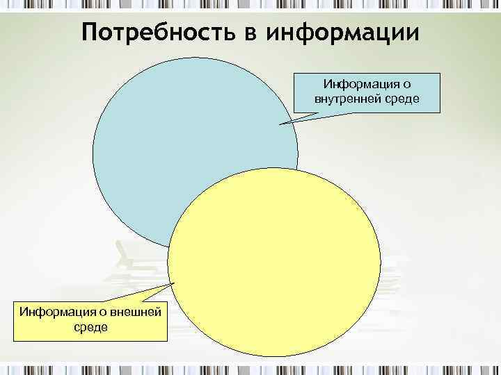Потребность в информации Информация о внутренней среде Информация о внешней среде 