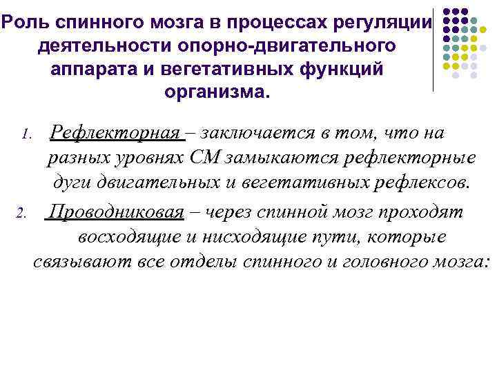 Роль спинного мозга в процессах регуляции деятельности опорно-двигательного аппарата и вегетативных функций организма. Рефлекторная