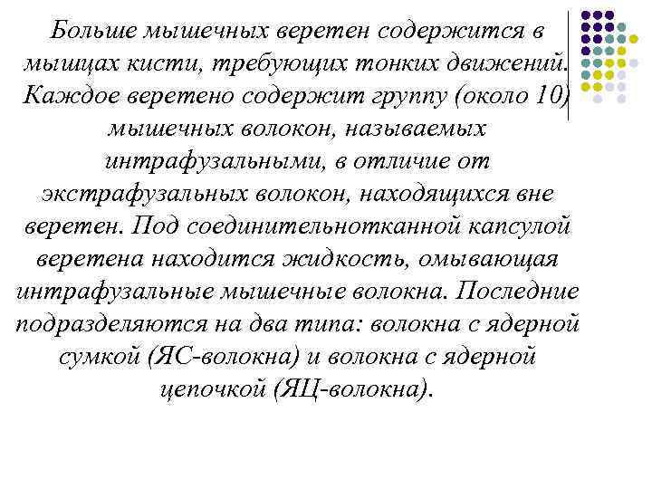 Больше мышечных веретен содержится в мышцах кисти, требующих тонких движений. Каждое веретено содержит группу