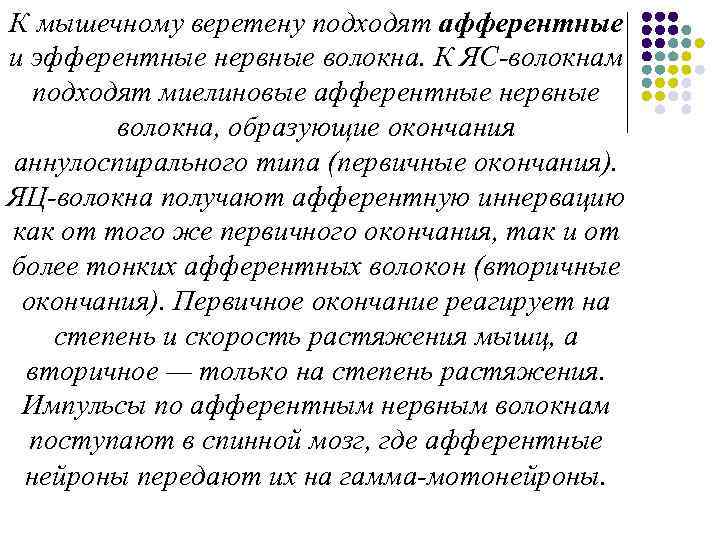 К мышечному веретену подходят афферентные и эфферентные нервные волокна. К ЯС волокнам подходят миелиновые