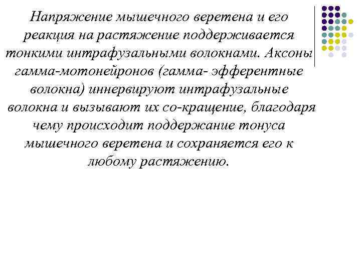 Напряжение мышечного веретена и его реакция на растяжение поддерживается тонкими интрафузальными волокнами. Аксоны гамма