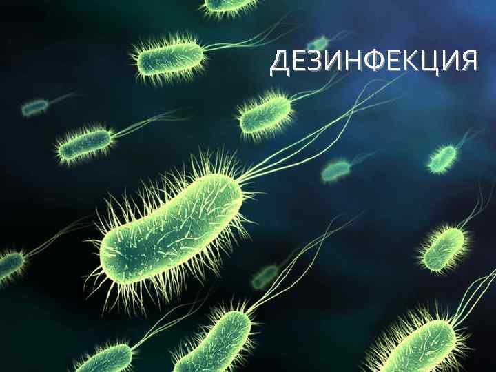 ДЕЗИНФЕКЦИЯ 