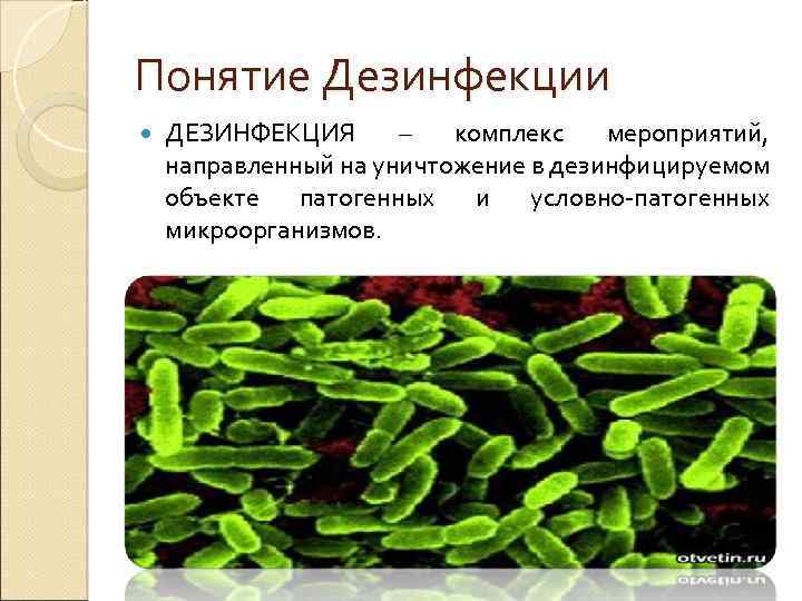 Понятие Дезинфекции ДЕЗИНФЕКЦИЯ – комплекс мероприятий, направленный на уничтожение в дезинфицируемом объекте патогенных и