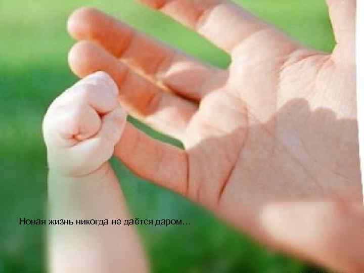 Новая жизнь никогда не даётся даром… 