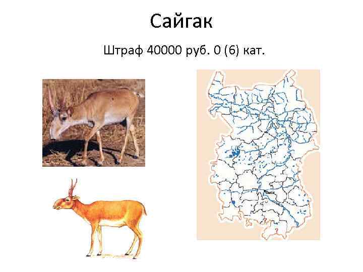 Проект по окружающему миру 4 класс красная книга омской области