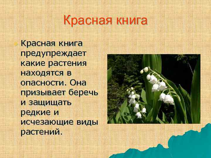 Красная книга u Красная книга предупреждает какие растения находятся в опасности. Она призывает беречь