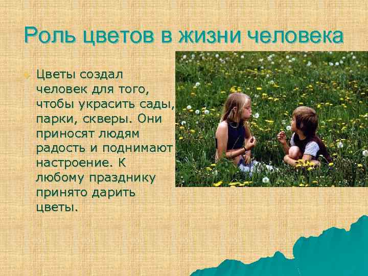 Роль цветов в жизни человека u Цветы создал человек для того, чтобы украсить сады,