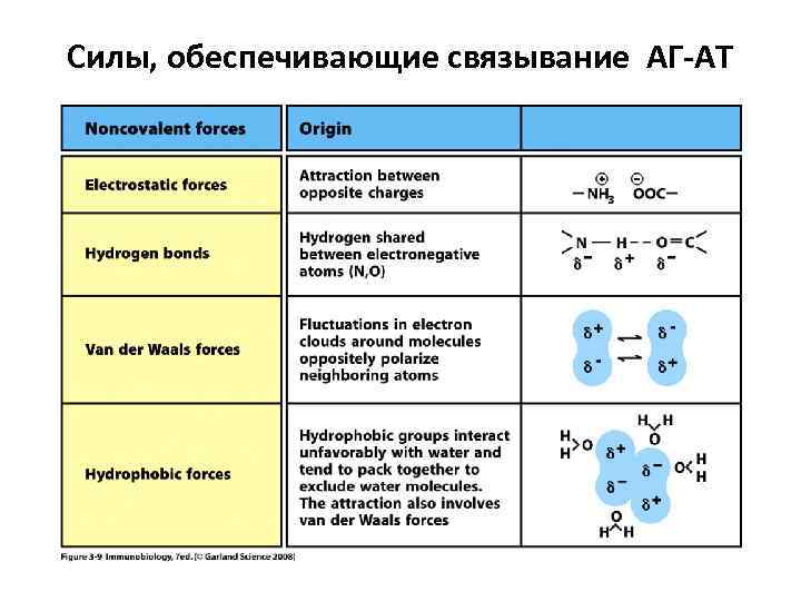 Силы, обеспечивающие связывание АГ-АТ 