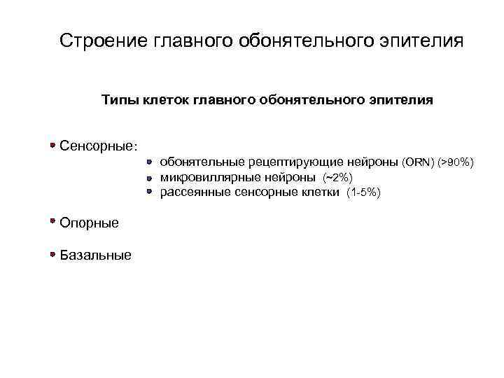 Строение главного обонятельного эпителия Типы клеток главного обонятельного эпителия Сенсорные: обонятельные рецептирующие нейроны (ORN)