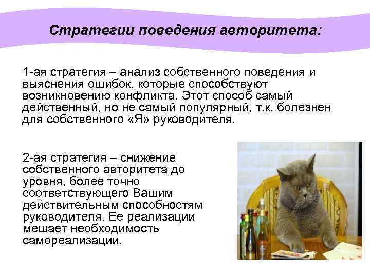 Стратегии поведения авторитета: 1 -ая стратегия – анализ собственного поведения и выяснения ошибок, которые