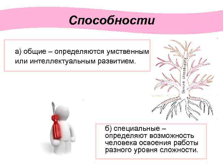 Способности а) общие – определяются умственным или интеллектуальным развитием. б) специальные – определяют возможность