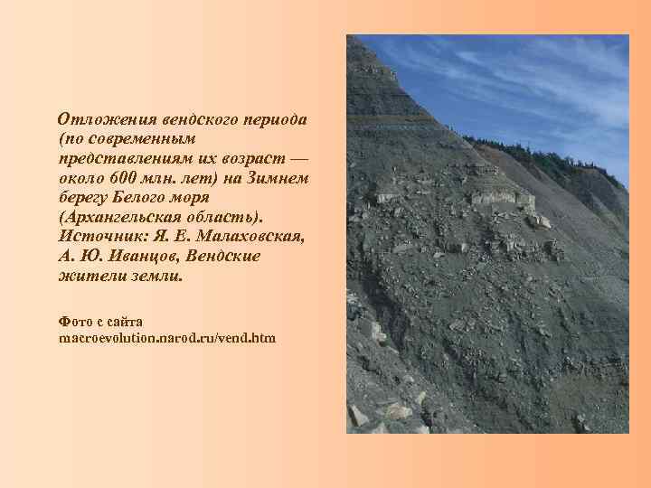  Отложения вендского периода (по современным представлениям их возраст — около 600 млн. лет)