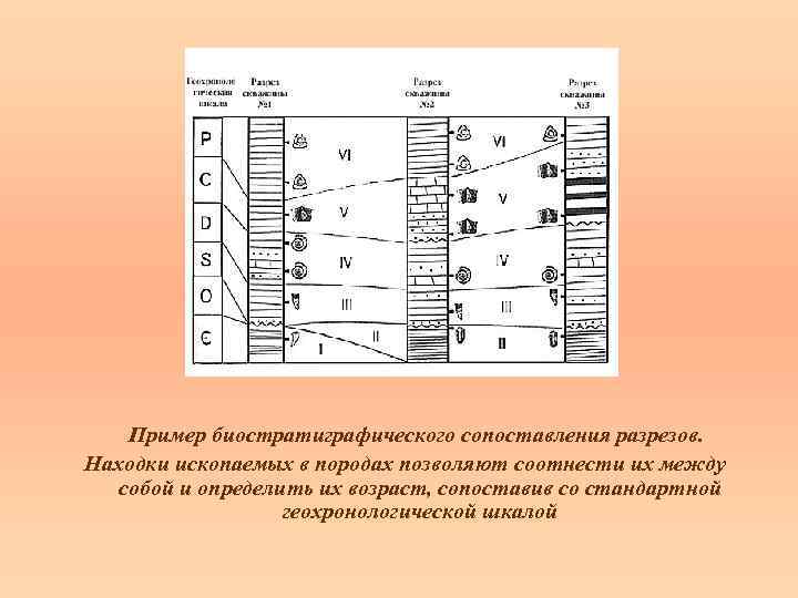 Пример биостратиграфического сопоставления разрезов. Находки ископаемых в породах позволяют соотнести их между собой и