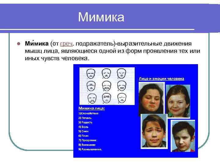 Мимика l Ми мика (от греч. подражатель)-выразительные движения мышц лица, являющиеся одной из форм