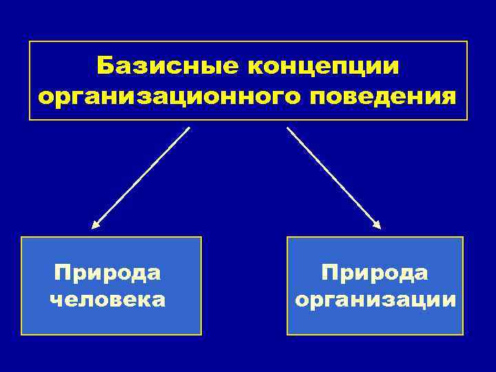 Базисные концепции организационного поведения Природа человека Природа организации 