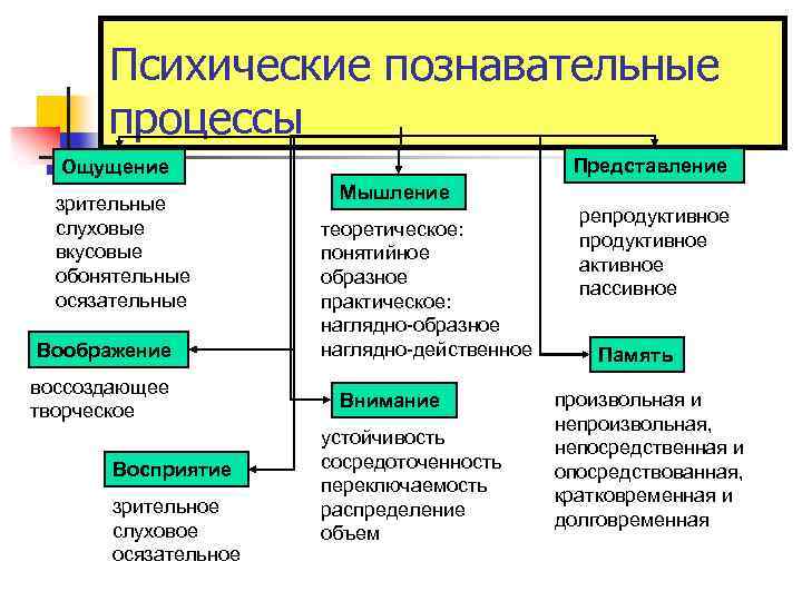  Психические познавательные процессы Ощущение Представление Мышление зрительные репродуктивное слуховые теоретическое: продуктивное вкусовые понятийное