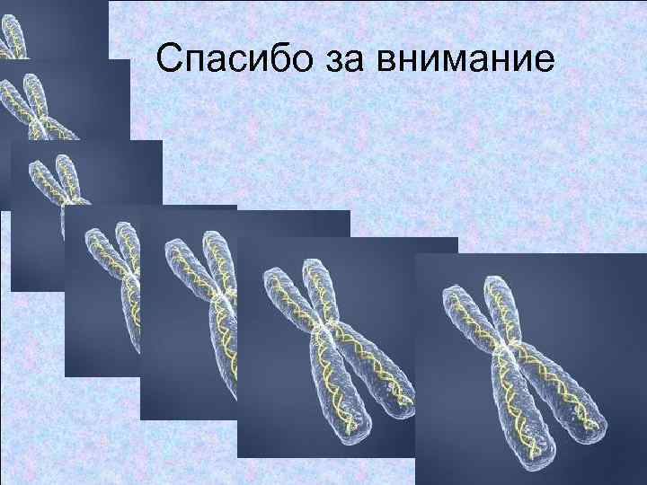 Спасибо за внимание 