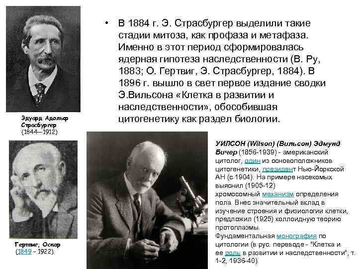 Эдуард Адольф Страсбургер (1844— 1912) Гертвиг, Оскар (1849 – 1922). • В 1884 г.