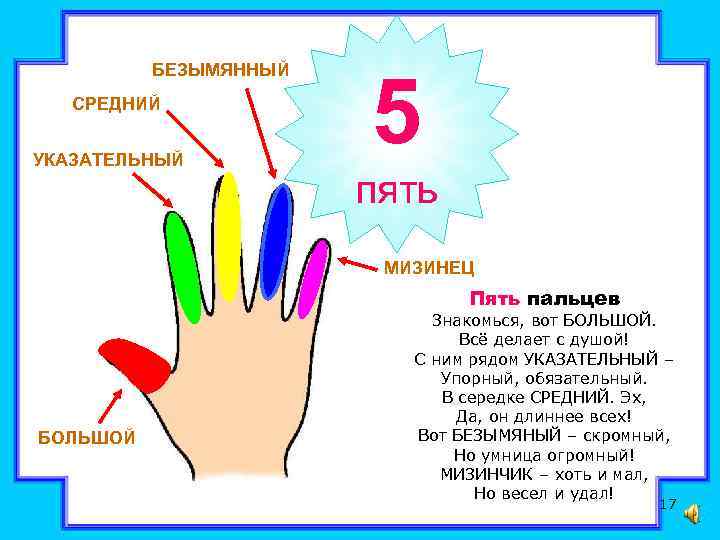 БЕЗЫМЯННЫЙ СРЕДНИЙ УКАЗАТЕЛЬНЫЙ 5 пять МИЗИНЕЦ Пять пальцев БОЛЬШОЙ Знакомься, вот БОЛЬШОЙ. Всё делает