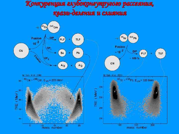 Конкуренция глубоконеупругого рассеяния, квази-деления и слияния 