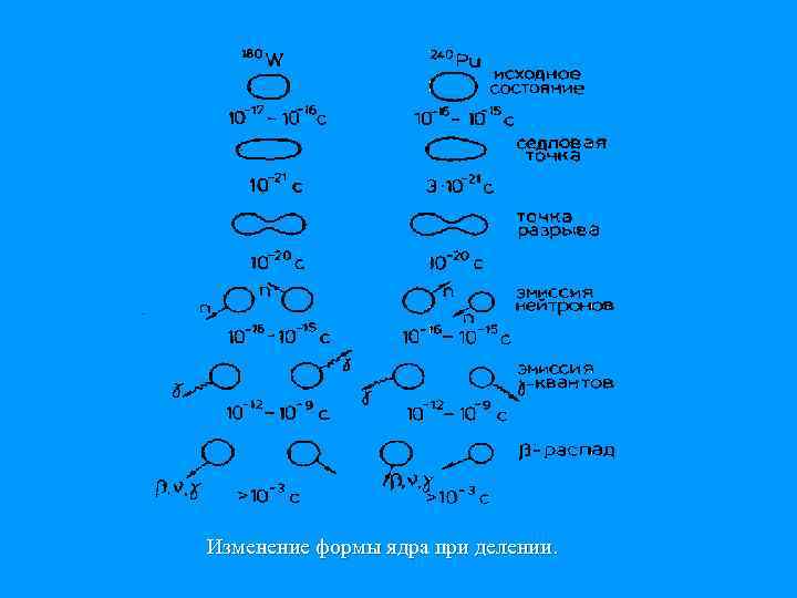 Изменение формы ядра при делении. 
