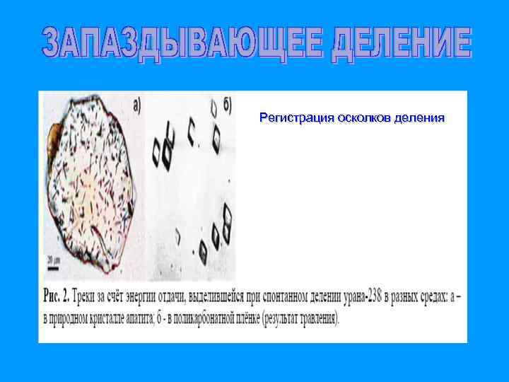 Регистрация осколков деления 