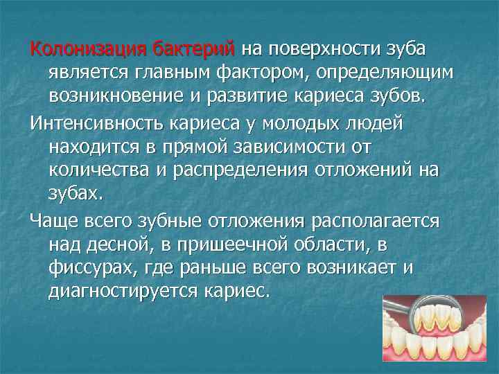 Колонизация бактерий на поверхности зуба является главным фактором, определяющим возникновение и развитие кариеса зубов.