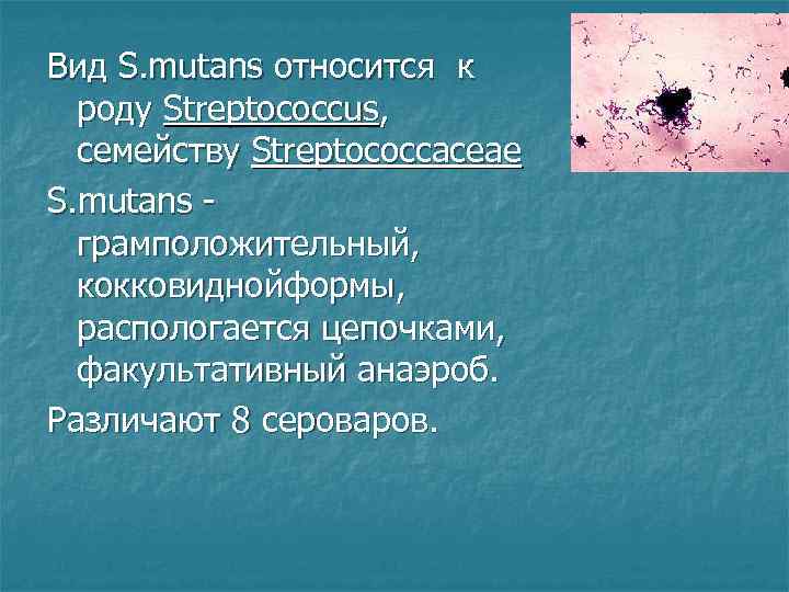 Вид S. mutans относится к роду Streptococcus, семейству Streptococcaceae S. mutans - грамположительный, кокковиднойформы,