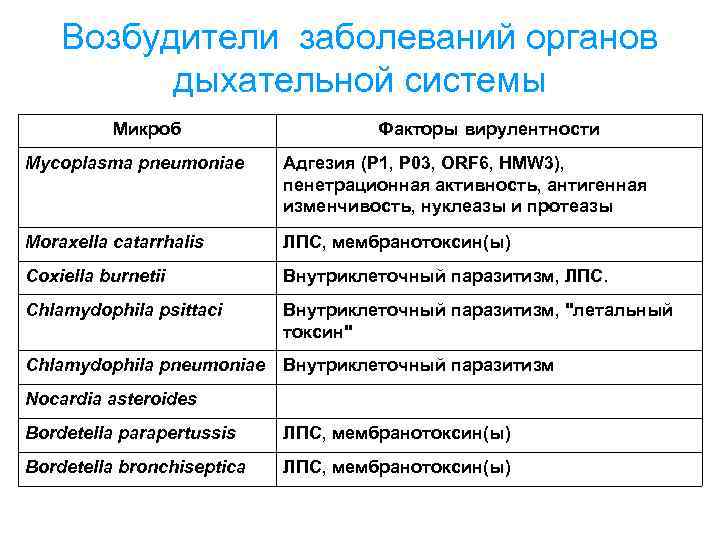 Микобактерии заболевания