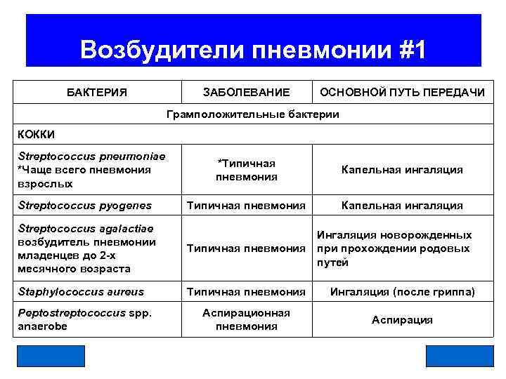 Основной возбудитель пневмонии. Бактериальная пневмония возбудители. Грамположительные возбудители пневмонии. Грамположительные бактерии – возбудители пневмонии. Перечислите основные возбудители пневмонии.