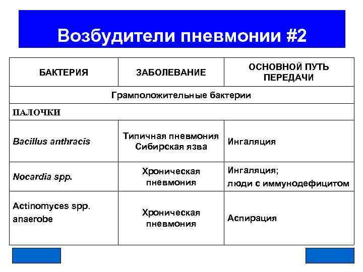 Основной возбудитель пневмонии. Возбудители пневмонии. Основные возбудители пневмонии. Грамположительные возбудители пневмонии. Перечислите основных возбудителей пневмонии..