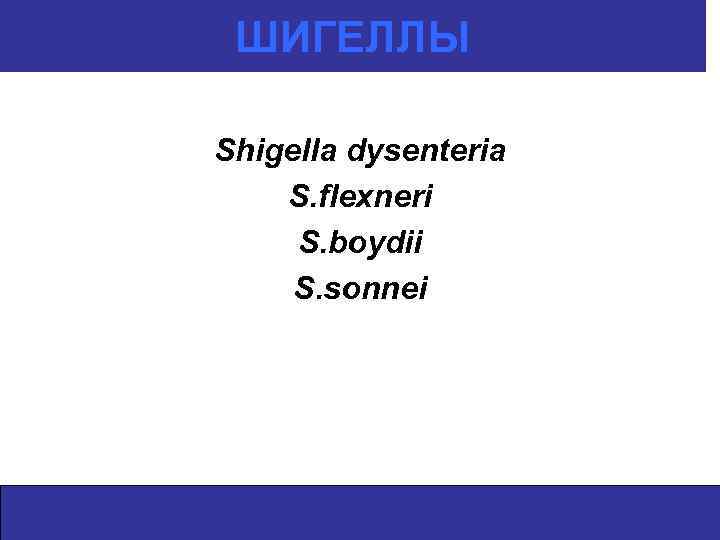 ШИГЕЛЛЫ Shigella dysenteria S. flexneri S. boydii S. sonnei 