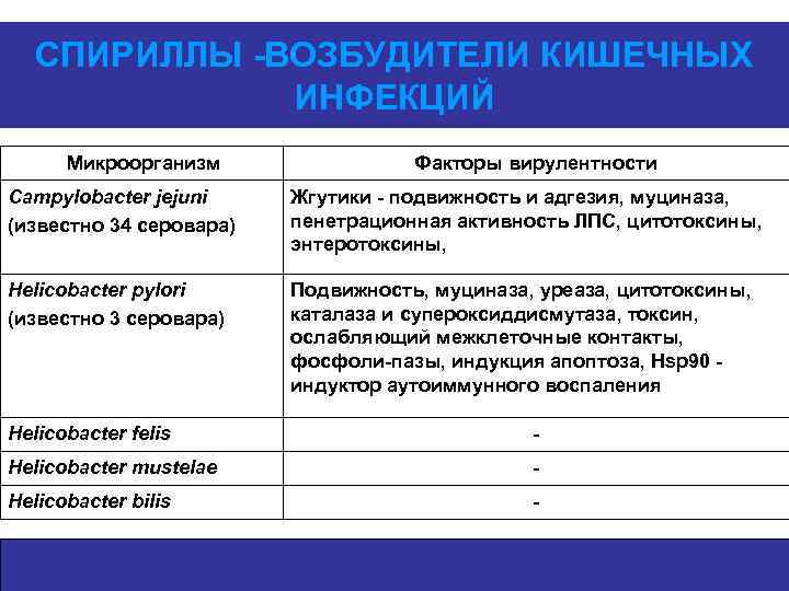 СПИРИЛЛЫ -ВОЗБУДИТЕЛИ КИШЕЧНЫХ ИНФЕКЦИЙ Микроорганизм Факторы вирулентности Campylobacter jejuni (известно 34 серовара) Жгутики -