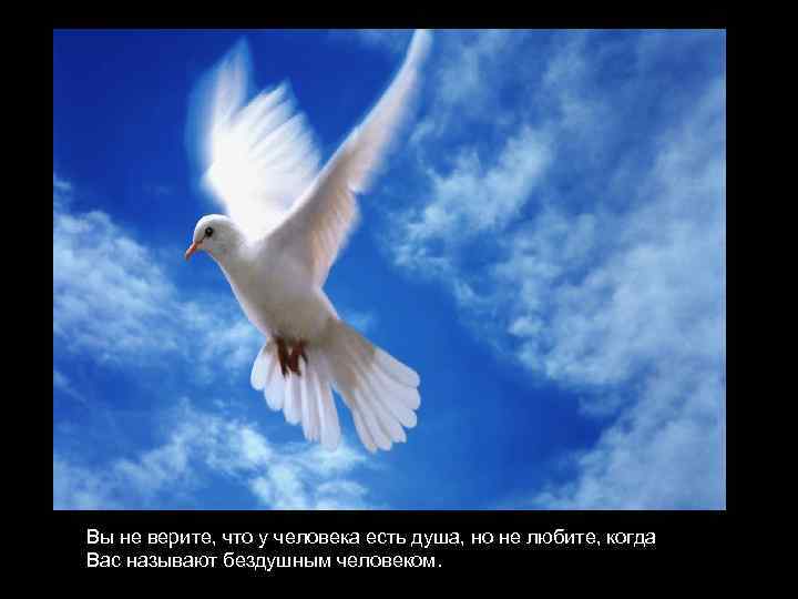 Вы не верите, что у человека есть душа, но не любите, когда Вас называют