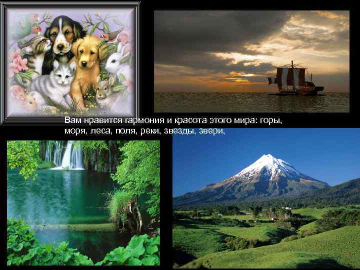 Вам нравится гармония и красота этого мира: горы, моря, леса, поля, реки, звезды, звери,