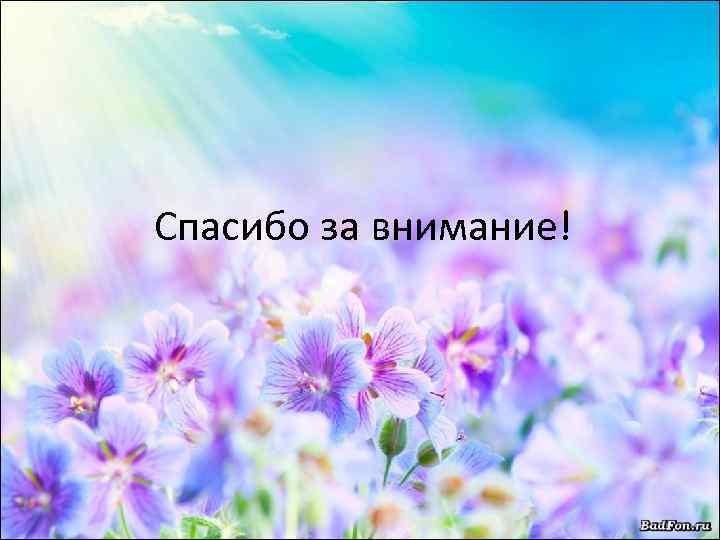 Спасибо за внимание! 
