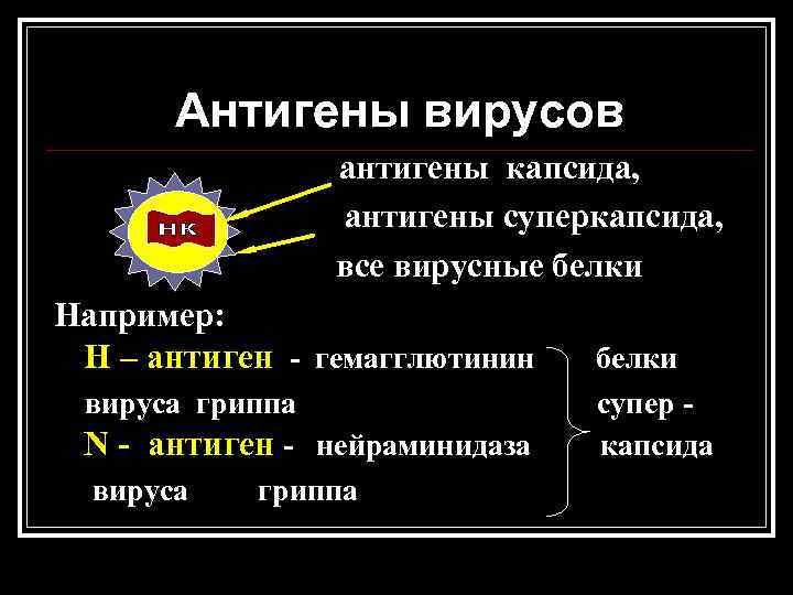 Антигены вирусов антигены капсида, антигены суперкапсида, все вирусные белки Например: Н – антиген -