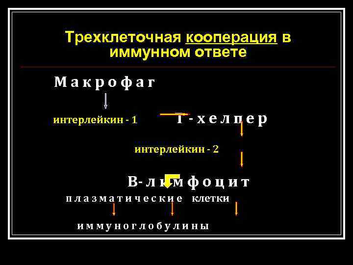 Трехклеточная кооперация в иммунном ответе Макрофаг интерлейкин - 1 Т-хелпер интерлейкин - 2 В-