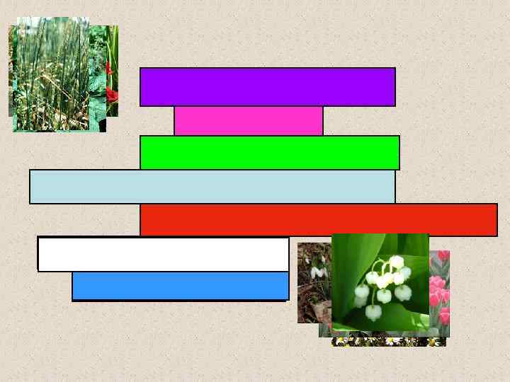 Р О Р Т Ю П О Д О Р П О П Ш