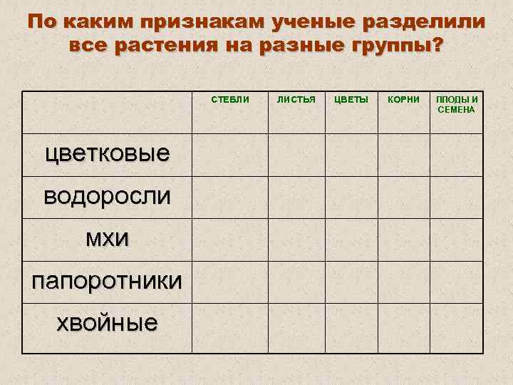 По каким признакам ученые разделили все растения на разные группы? СТЕБЛИ цветковые водоросли мхи