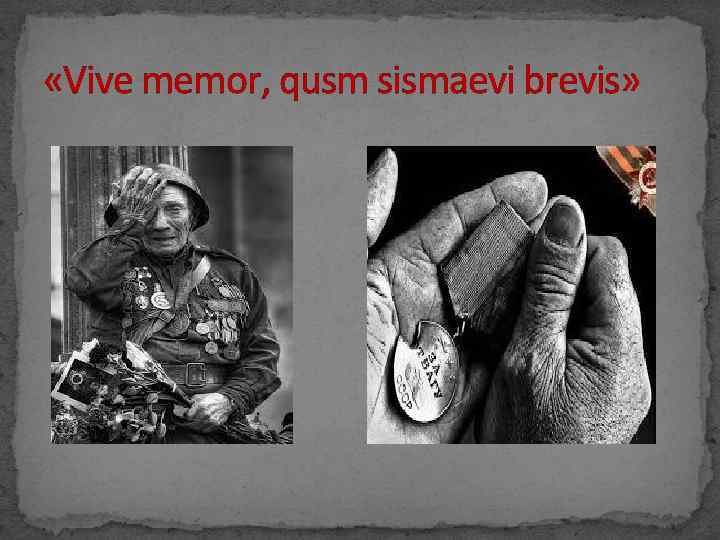  «Vive memor, qusm sismaevi brevis» 
