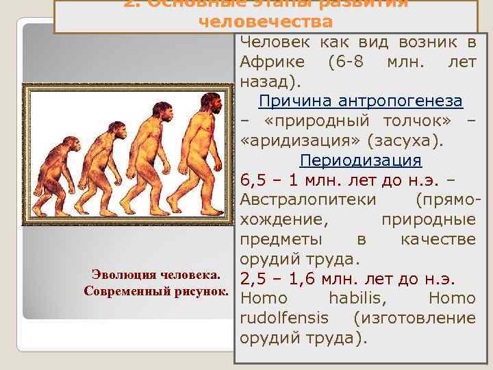 Человек как результат социокультурной эволюции. Причины развития человека. Основная предпосылка эволюции человека. Самая низкая стадия развития человека. Периоды существования человека как вида.