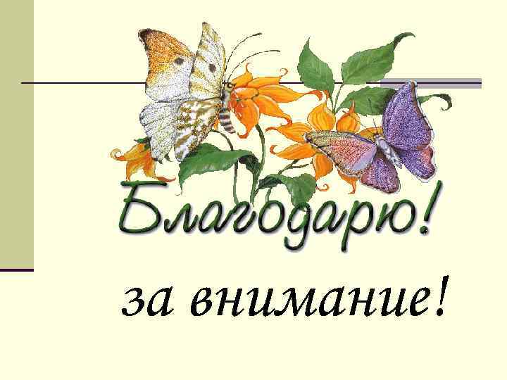 за внимание! 