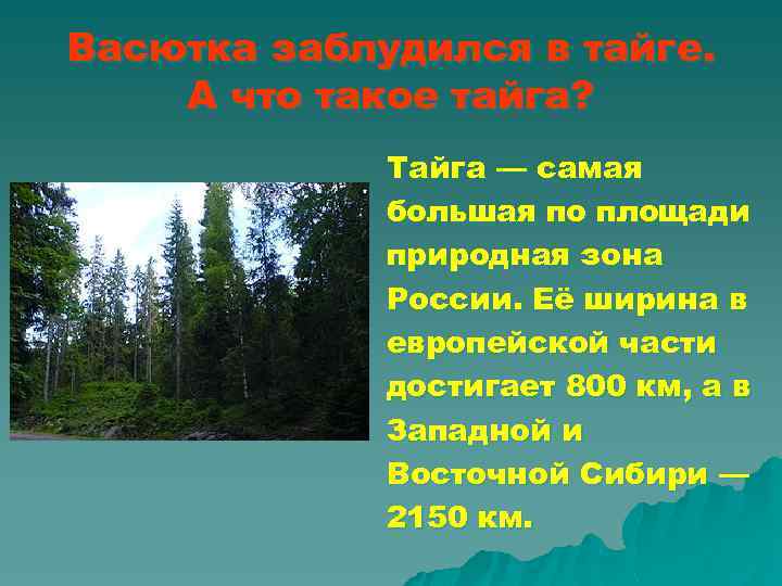 Тайга самая большая по площади природная зона. Тайга природная зона. Тайга европейской части России. Васютка заблудился в тайге. Тайга самая большая природная зона России.