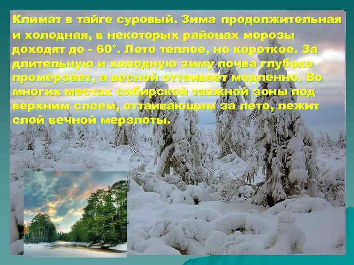 Климат в тайге суровый. Зима продолжительная и холодная, в некоторых районах морозы доходят до