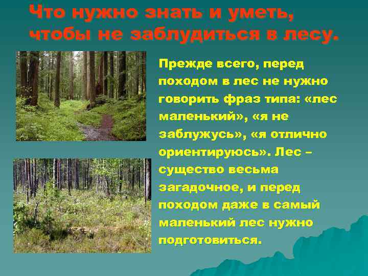 Что нужно знать и уметь, чтобы не заблудиться в лесу. Прежде всего, перед походом